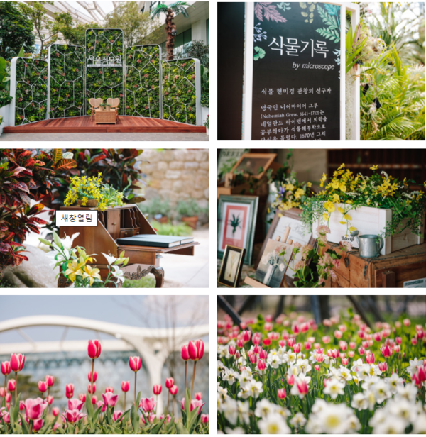 식물 관련 이미지 (사진=서울시)