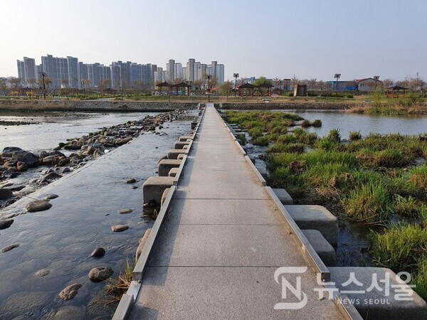 전천(箭川) 하천 돌다리. 전천 하천 돌다리를 건너면 영동선 ‘동해역’으로 걸어 갈 수 있는 길이 나온다.
