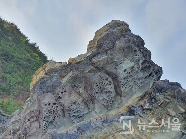 헌화로(獻花路) 도로가에 있는 구멍이 쑹쑹 뚫린 바위. 헌화로(獻花路)는 해안단구와 절벽으로 이루어진 지형과 바다를 바로 접한 곳에 조성한 도로라서 기암괴석과 신기한 바위들이 도로가에 산재해 있다.