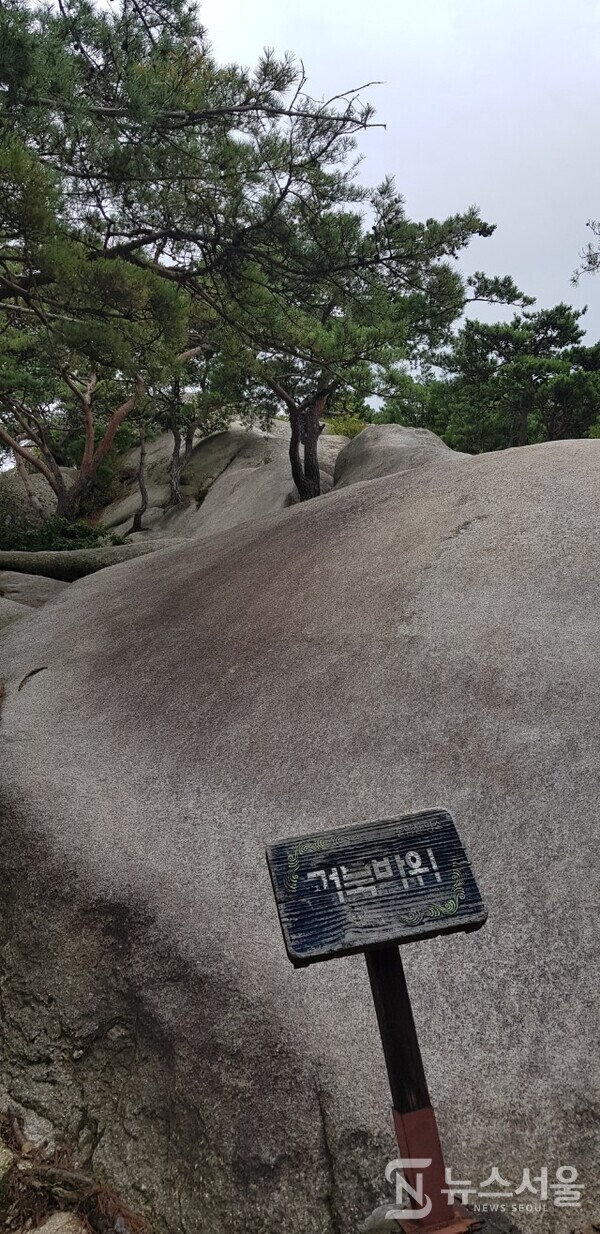 불암산 거북바위. 불암산 정상 아래 널따란 바위가 있는데 거북 모양을 닮아 이름이 ‘거북바위’이다. 