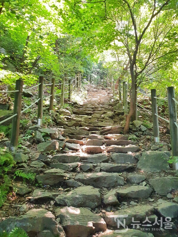 검단산 산행 계단길. 검단산은 산행거리가 짧은 편이지만 경사도가 만만치 않다. 한강변에 우뚝 솟은 지형 때문에 가파른 경사로에 돌로 된 계단길이 많아서 등산객들을 지치게 한다.