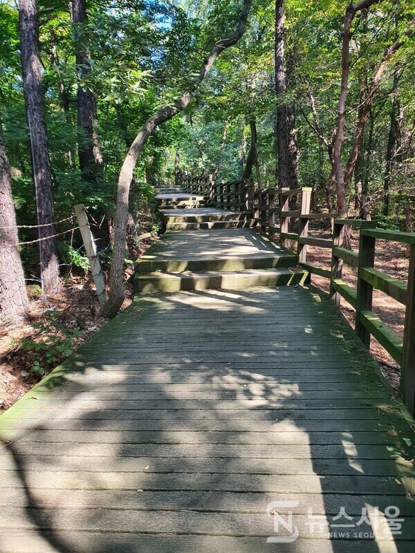 ​검단산 산행 데크길. 검단산 기슭에는 산행로 곳곳에 나무로 된 데크길을 조성해서 안전하게 산책을 할 수 있다. 꼭 정상까지 산행하지 않더라도 나무데크길을 걸으면서 산책을 하는 것만으로도 충분한 힐링이 된다.