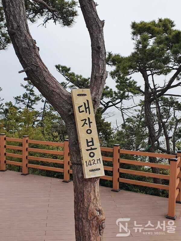 대장봉 정상 표시판. 대장봉 정상은 생각보다 넓고 나무데크로 전망대가 조성되어 있다. 대장봉 정상데크 가운데 소나무가 있는데 소나무에 “대장봉 142m'라는 나무 표시판이 걸려 있다.