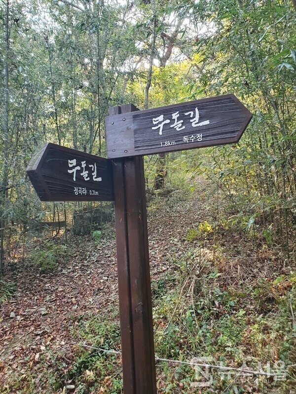 함충이재. 무돌길 전남 담양구간 첫 번째 길인 제5길 ‘독수정길’은 전남 담양군 가사문학면 연천리 ‘산음교’에서 시작하여 ‘독수정’을 지나고 ‘함충이재’를 넘어 정곡리 ‘정곡마을’을 거쳐 경상리 ‘경상마을’ 정자까지 이어지는 코스이다. ‘독수정’을 지난 뒤 산길을 따라 남쪽으로 오르다 보면 ‘함충이재’라는 고개 정상에 도달하게 된다. ‘함충이재’는 꾀꼬리가 벌레를 머금고 있는 형국이라 하여 ‘함충이’란 이름을 갖게 된 고개이다.  