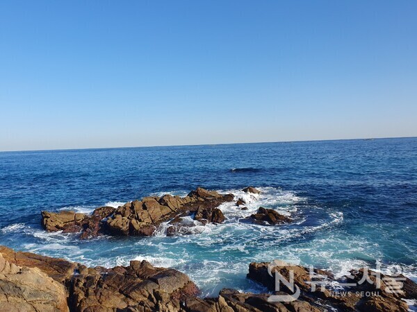 삼척 이사부 사자바위 앞 바다. 삼척항 ‘이사부광장’에서 출발하여 북쪽 방향으로 약 700m 정도 해안에 사자 모양의 바위가 있는데 바로 ‘이사부 사자바위’이다. ‘이사부 사자바위’에 대해서는 울릉도 정벌로 유명한 신라 이사부(異斯夫) 장군과 관련된 설화가 전해 내려오고 있다. ‘이사부 사자바위’ 앞 바닷가에는 바위들이 펼쳐져 있는데 동해바다의 파도와 부딪쳐서 하얀 포말을 일으키고 있다.