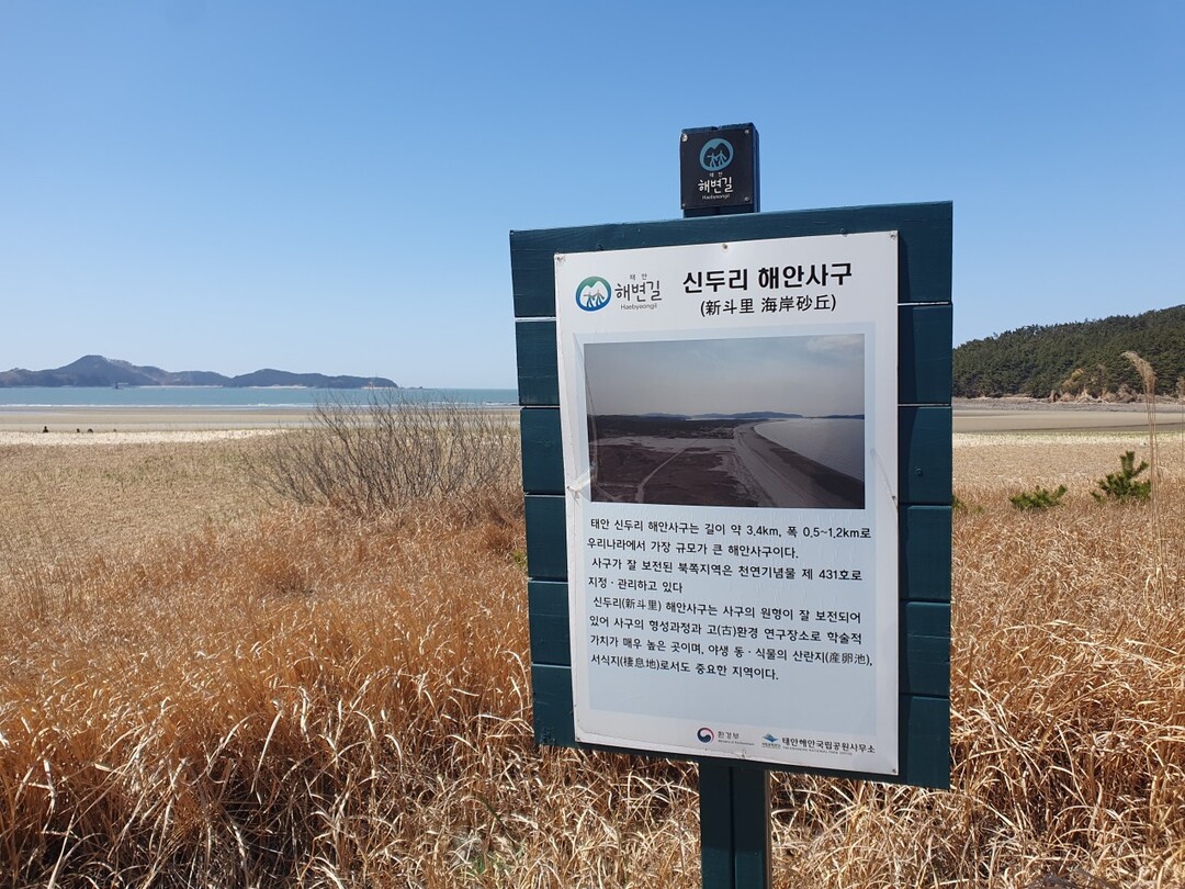 신두리 해안사구