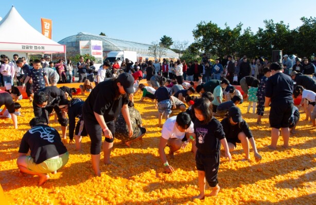 2025 제주감귤박람회, 6.3만 명...