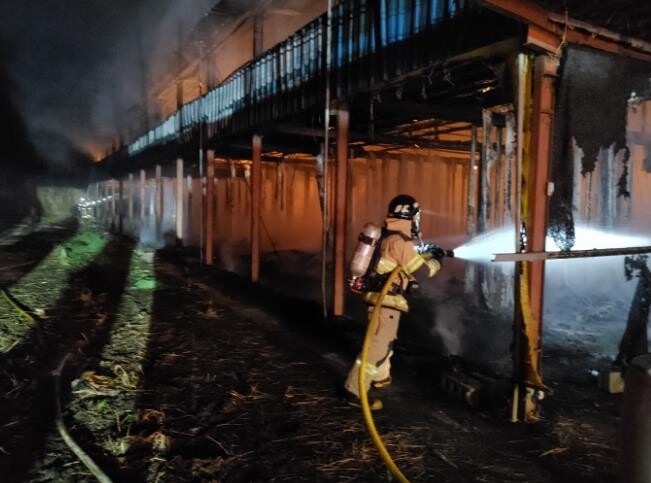 전남소방 잇단 축사 화재에 ‘겨울철 ...