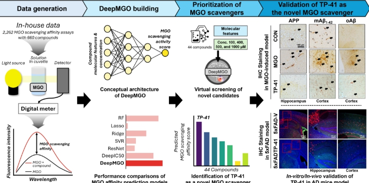 경상국립대학교 홍성민 교수팀, 딥러닝으로 알츠하이머 치료 신물질 발굴