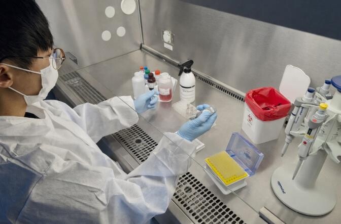 경기도, 강릉 아프리카돼지열병 역학농...