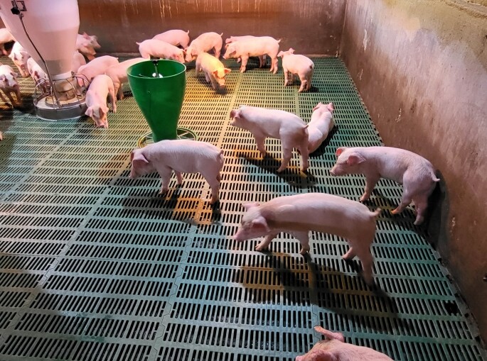 경기도, 올해 26억 원 투입. 양돈...