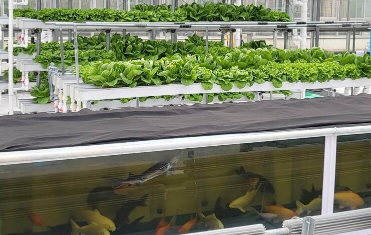 경기도농업기술원, 