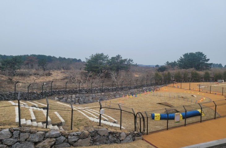 제주도, 반려견과 나란히 앉아 배우는...