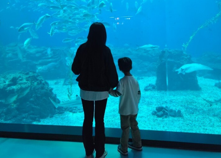 서귀포시교육지원청, 특수교육대상학생 ...