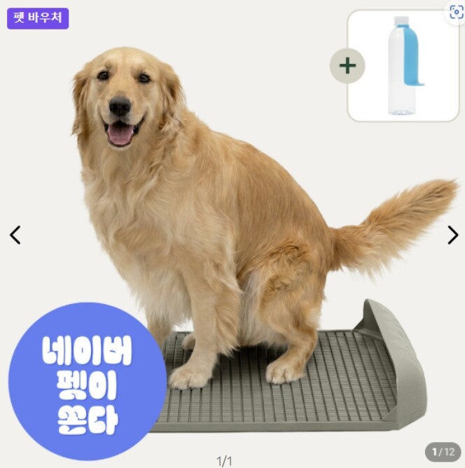 6월 한 달간 경기도 중소기업 반려동...