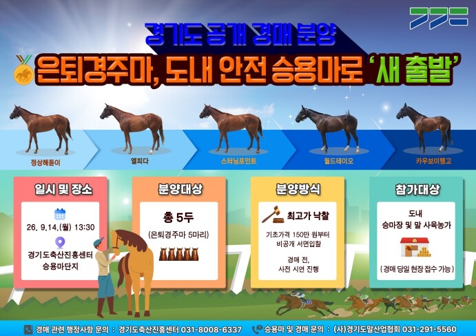 경기도, 은퇴경주마 5마리 승용마로 ...